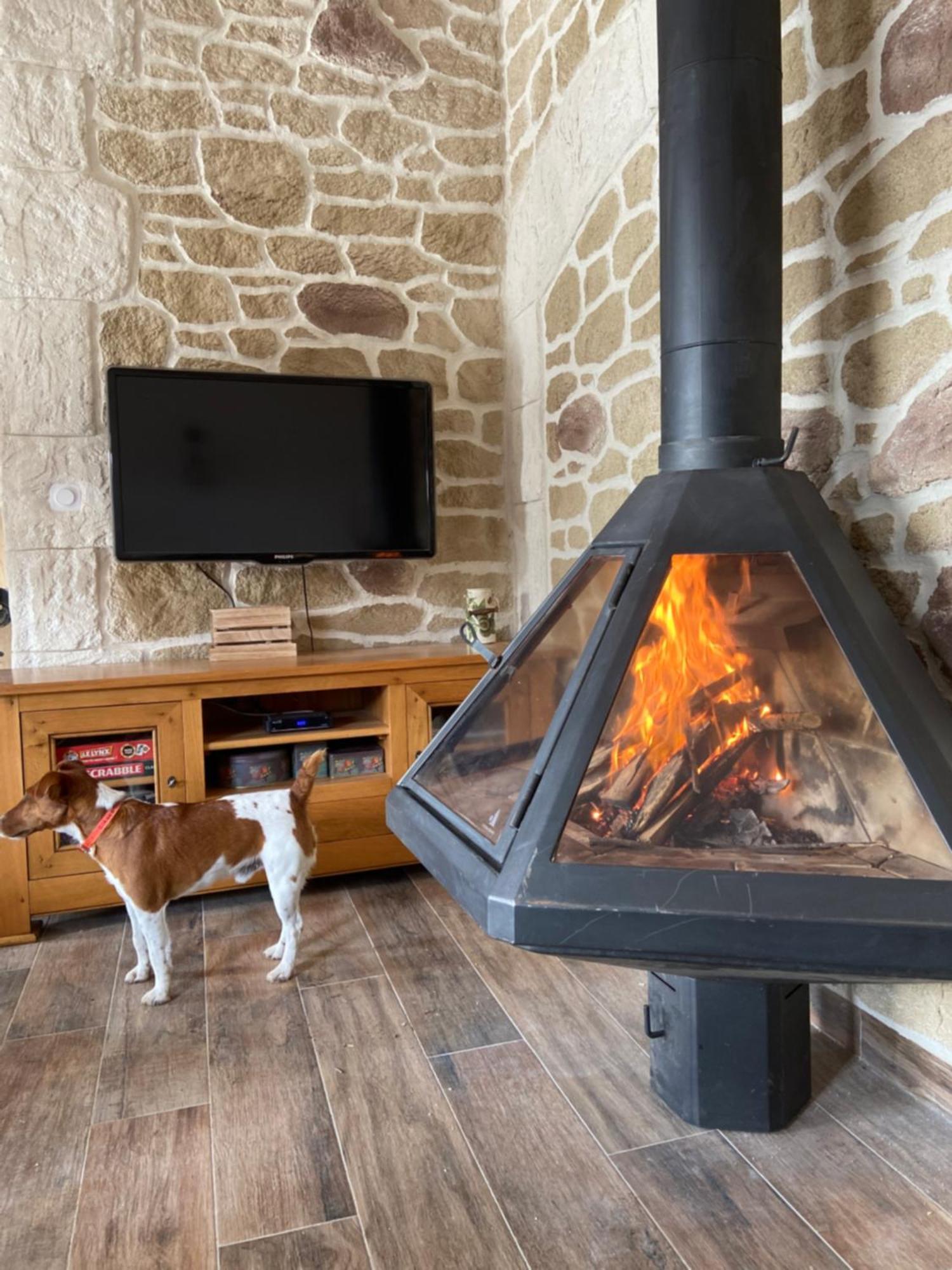 Villa Retour à l'essentiel dans le parc national à Saint-Andre-Capceze Extérieur photo