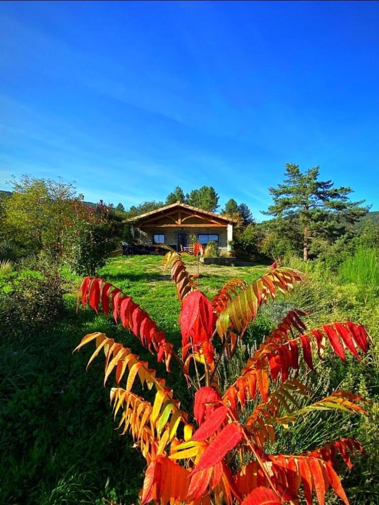 Villa Retour à l'essentiel dans le parc national à Saint-Andre-Capceze Extérieur photo